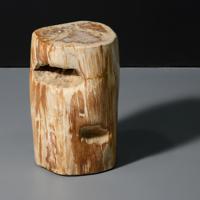 Petrified Wood Occasional Table - Sold for $1,216 on 11-16-2025 (Lot 568).jpg